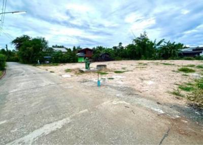 Saraphi District Land for sale 2.5 Mb. 182 sqw. #Thawangtan