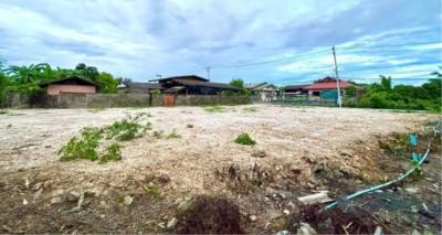 Saraphi District Land for sale 2.5 Mb. 182 sqw. #Thawangtan