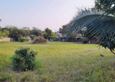 ️️ For sale empty land 4.4 mb.  382 sqm. #sanpakwaan #hangdong