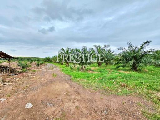 Land for sale – in Rayong PP9846