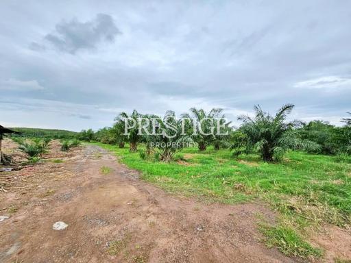 Land for sale – in Rayong PP9846