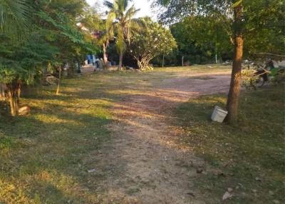 ️​Empty​ land​ and​ country​  house   for​ sale​ located​ HangDong​ Behind  #Kad​ #Farang​ Hang​Dong​ District