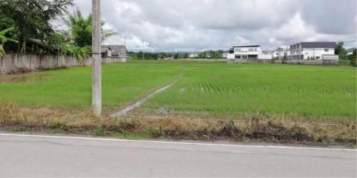 10,000 baht/sqw. ️​4​ rai #Fields #Adjacent to the road #NamPhrae #HangDong