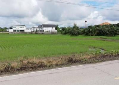 10,000 baht/sqw. ️​4​ rai #Fields #Adjacent to the road #NamPhrae #HangDong