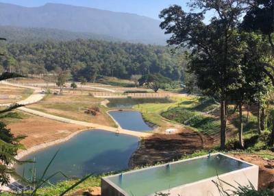 Beautiful land for sale, 17,000 baht/sqw. Whole plot, 38 rai, in the midst of #Valley #BanPong #HangDong
