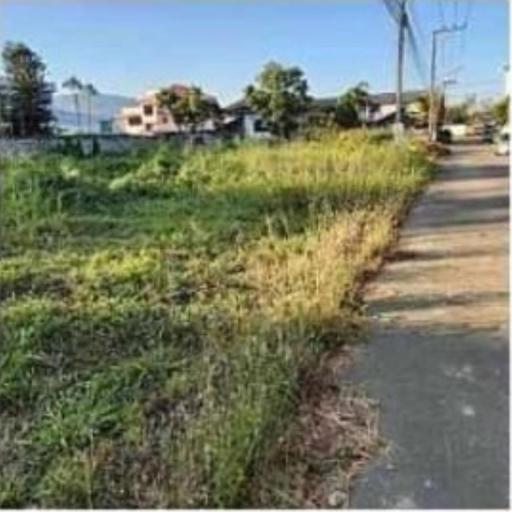 Land for sale, 22,000 baht/sqw.area 291.6 sqw. #MaeHia #Mueang District