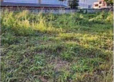 Land for sale, 22,000 baht/sqw.area 291.6 sqw. #MaeHia #Mueang District