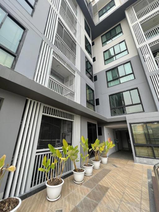 ขาย 2.3 ล้าน The #Treasure Condo 41 ตรม. #ห้องใหม่ไม่เคยปล่อยเช่า