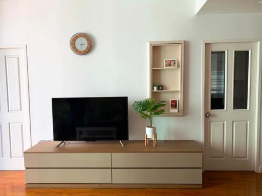 Modern living room interior with television and plant decor