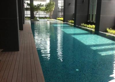 Outdoor swimming pool area with wooden deck and modern building in the background