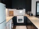 Modern kitchen with black cabinetry and integrated appliances