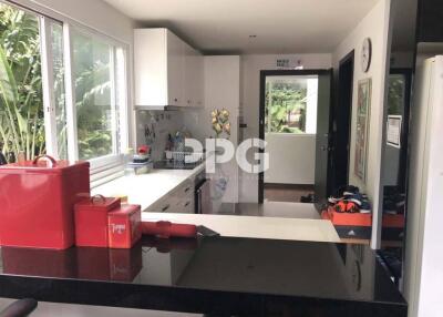 ONE BEDROOM CONDO WITH POOL VIEW IN PATONG