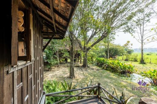 Perfect for a wellness retreat - beautiful, large property in a peaceful location surrounded by hills and rice fields.