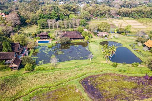 Perfect for a wellness retreat - beautiful, large property in a peaceful location surrounded by hills and rice fields.