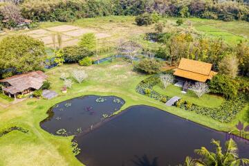 Perfect for a wellness retreat - beautiful, large property in a peaceful location surrounded by hills and rice fields.