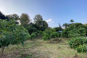 1 rai of land for sale in Mae Rim, Chiang Mai