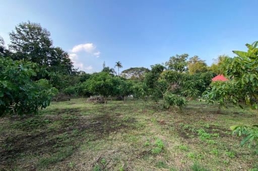 1 rai of land for sale in Mae Rim, Chiang Mai