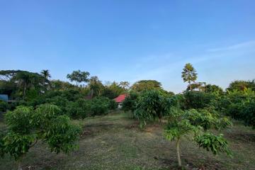 1 rai of land for sale in Mae Rim, Chiang Mai