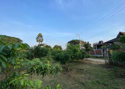 1 rai of land for sale in Mae Rim, Chiang Mai