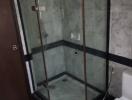 Modern bathroom with glass shower enclosure and toilet