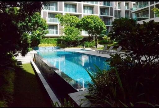 Nimmana Condo for rent at Nimmanhaemin soi 6