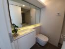 Modern bathroom with vanity and large mirror