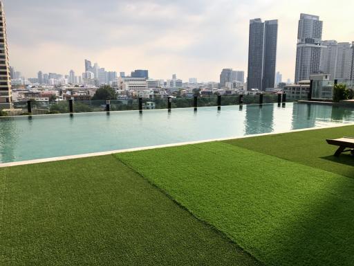 Rooftop pool with artificial grass and skyline view