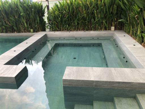 Modern outdoor swimming pool with steps and surrounding greenery