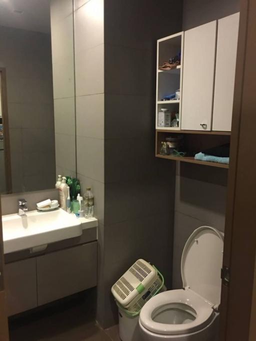 Compact bathroom with modern amenities