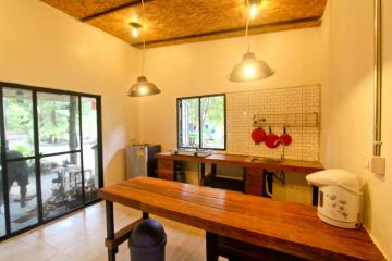 Bright cozy kitchen with modern appliances and wooden finish