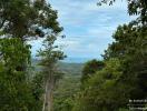 Scenic view of the ocean from a lush green property