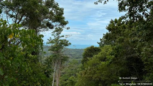 Scenic view of the ocean from a lush green property