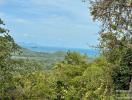 Scenic view from the property showcasing lush greenery and a distant ocean view