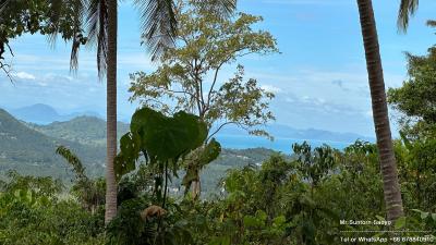 Scenic view of mountains and sea through tropical foliage
