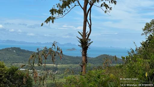 Panoramic view from a high vantage point overlooking a coastal landscape with blue sea and lush greenery