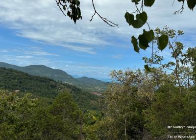Panoramic mountain view with lush greenery under a clear blue sky