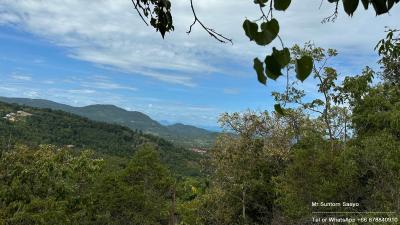 Panoramic mountain view with lush greenery under a clear blue sky