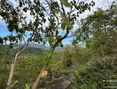 Expansive outdoor view with natural vegetation and clear skies