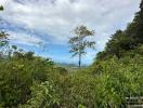 Expansive outdoor view of a natural green landscape with a clear sky