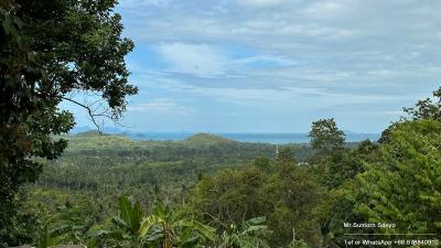 Scenic view of greenery and hills with ocean in the distance