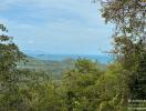 Panoramic ocean view surrounded by lush greenery