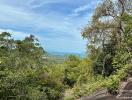 Scenic view of a lush landscape with ocean in the distance