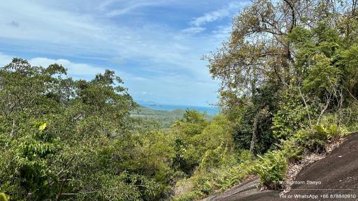 Scenic view of a lush landscape with ocean in the distance