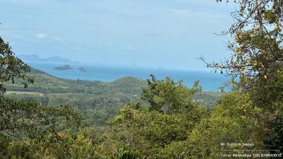 Panoramic sea view from the property surrounded by lush greenery