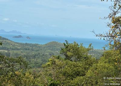 Panoramic sea view from the property surrounded by lush greenery