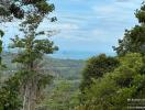 Panoramic view of the sea from a high vantage point surrounded by lush greenery