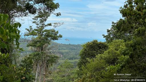 Panoramic view of the sea from a high vantage point surrounded by lush greenery