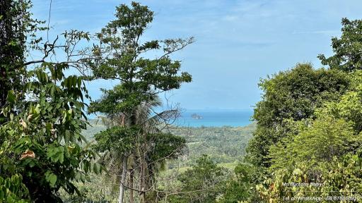 Scenic view of ocean from property surrounded by lush greenery