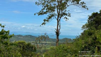 Scenic view of a lush landscape with ocean in the distance