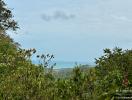 Scenic view of lush greenery with ocean in the distance